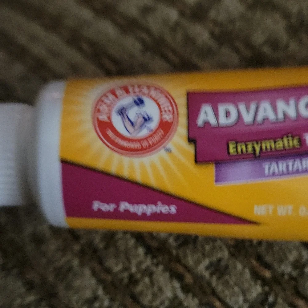 Nwot arm&hammer Dog toothpaste